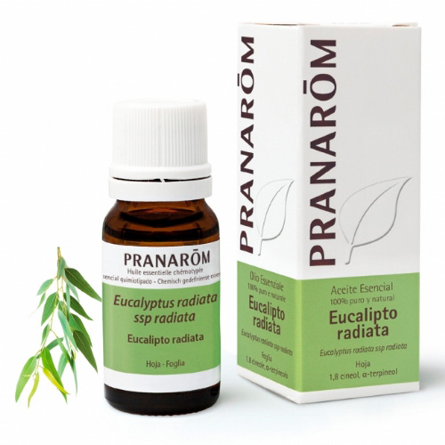 Pranarom aceite esen eucalipto rad