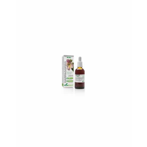 Soria extracto de raiz de harpagofito 50 ml