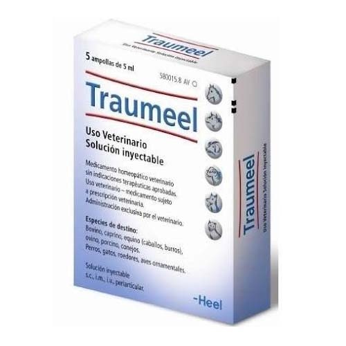 Traumeel   5 amp 5ml vet            heel