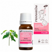 Pranabb difusion purificador 10ml